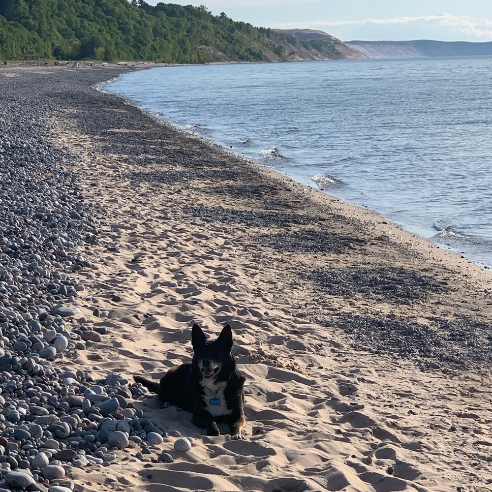 Guess what?!?! We are live live!!! - Picture 14 of 16